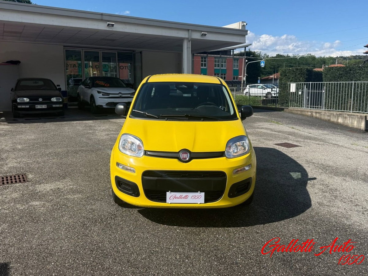 Fiat Pandina 1.0 firefly hybrid Pop s&s 65cv (3)