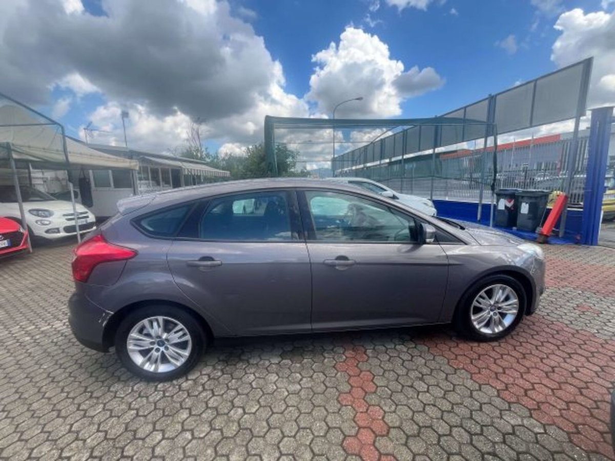 Ford Focus 1.6 TDCi 115 CV Titanium (12)