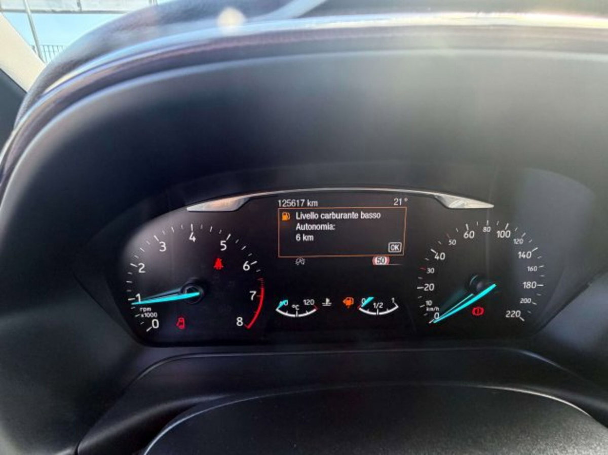 Ford Fiesta 1.0 Ecoboost 100 CV 5 porte Vignale (10)