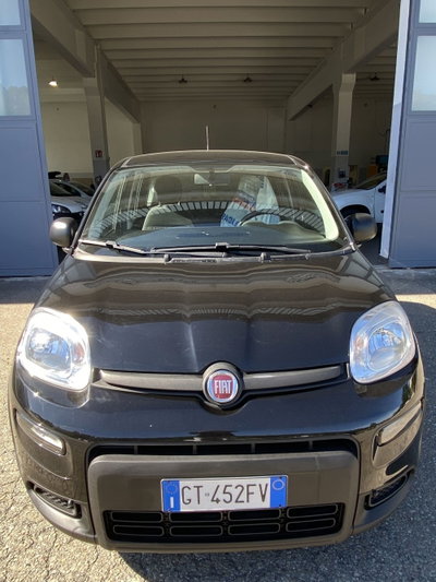 Fiat Panda Cross Cross 1.0 FireFly S&S Hybrid (2)