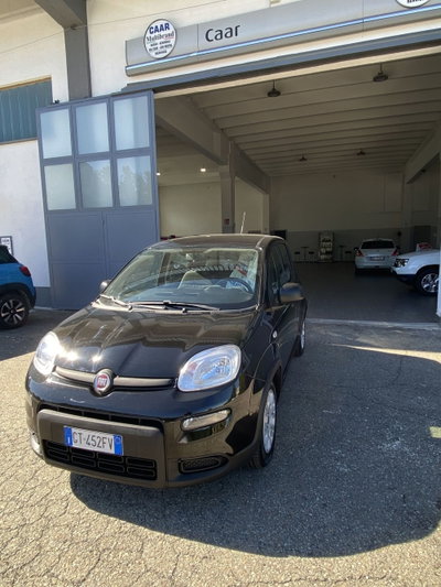 Fiat Panda Cross Cross 1.0 FireFly S&S Hybrid (3)