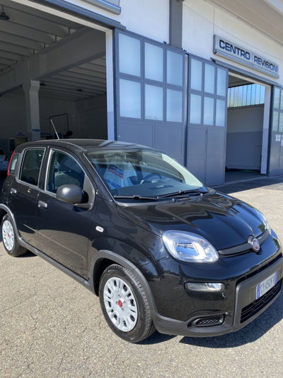 Fiat Panda Cross Cross 1.0 FireFly S&S Hybrid (4)