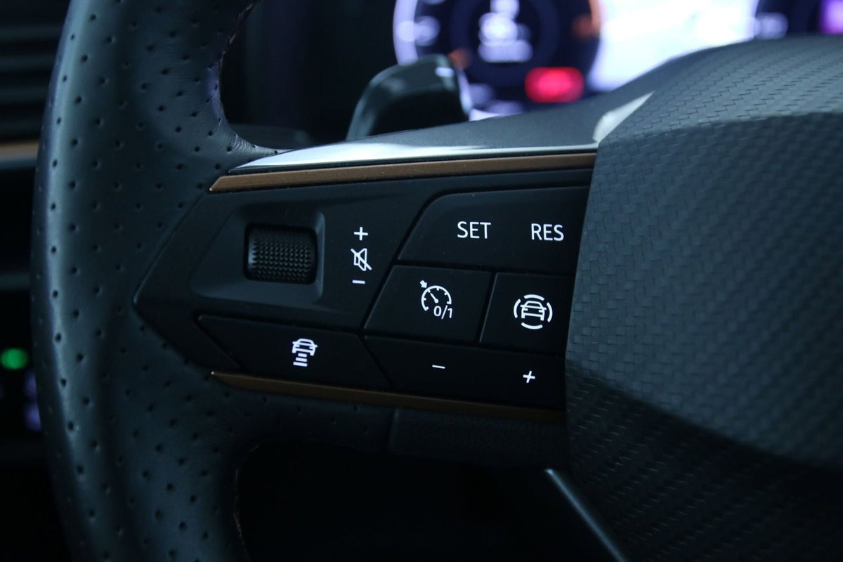 Cupra Formentor Formentor 1.5 TSI (18)