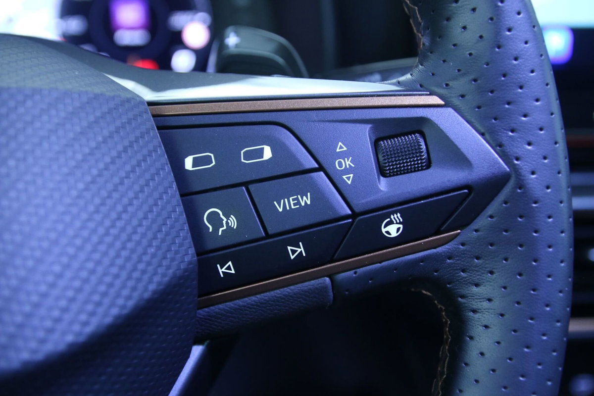 Cupra Formentor Formentor 1.5 TSI (19)
