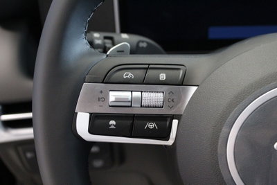 Hyundai Tucson 1.6 hev Business 2wd 239cv auto (13)