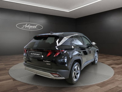 Hyundai Tucson 1.6 hev Business 2wd 239cv auto (6)