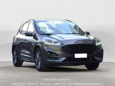 Ford Kuga 2.0 EcoBlue 120 CV aut. 2WD ST-Line X (2)
