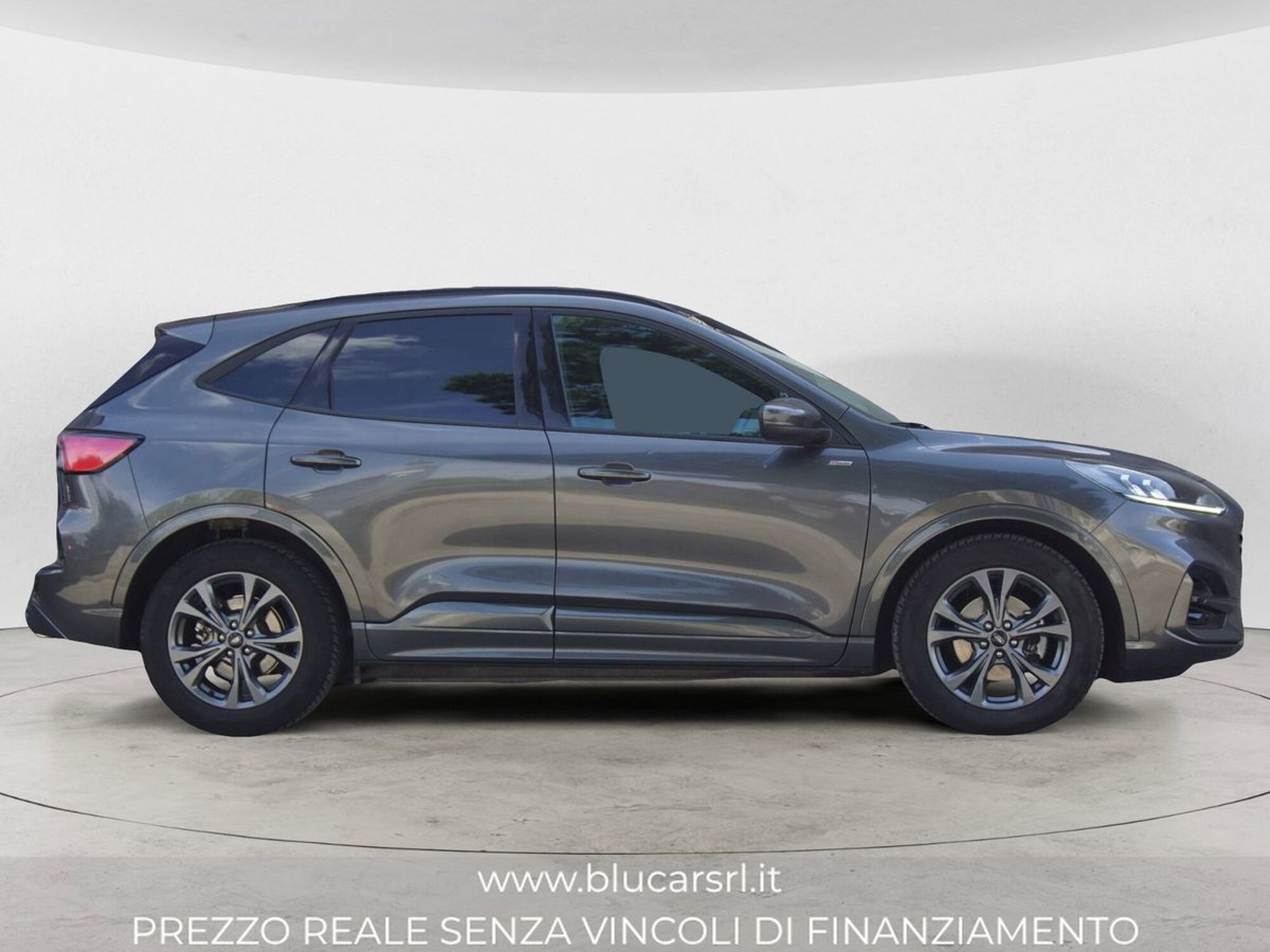 Ford Kuga 2.0 EcoBlue 120 CV aut. 2WD ST-Line X (3)