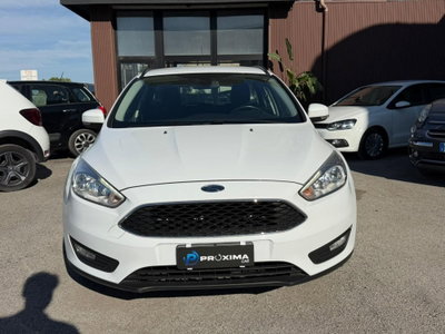 Ford Focus Station Wagon 1.6 TDCi 95 CV SW Plus (3)
