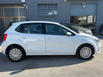 Volkswagen Polo 1.4 TDI 5p. Comfortline (5)