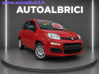 Fiat Pandina 1.0 firefly hybrid Icon s&s 65cv nuova