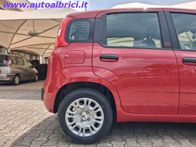 Fiat Pandina 1.0 firefly hybrid Icon s&s 65cv (11)