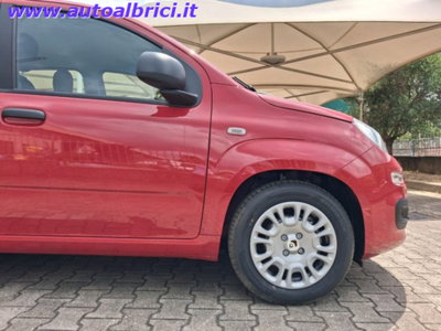 Fiat Pandina 1.0 firefly hybrid Icon s&s 65cv (12)