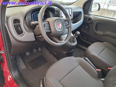 Fiat Pandina 1.0 firefly hybrid Icon s&s 65cv (14)