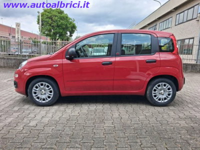 Fiat Pandina 1.0 firefly hybrid Icon s&s 65cv (6)