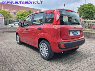 Fiat Pandina 1.0 firefly hybrid Icon s&s 65cv (7)