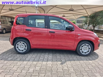 Fiat Pandina 1.0 firefly hybrid Icon s&s 65cv (10)