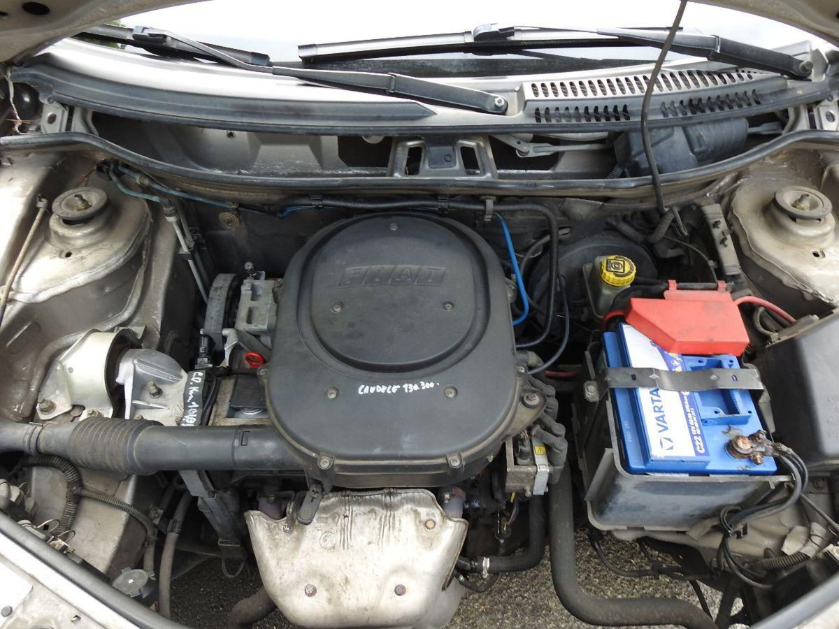 Fiat Punto 1.2 5 porte Actual (5)