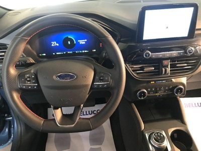 Ford Kuga 2.5 Plug In Hybrid 225 CV CVT 2WD ST-Line X (6)