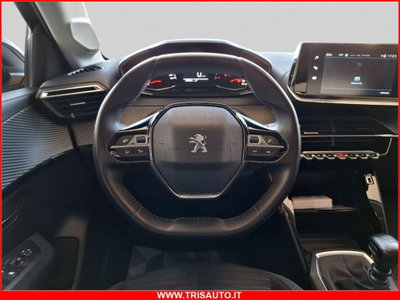 Peugeot 208 BlueHDi 100 Stop&Start 5 porte Active (12)