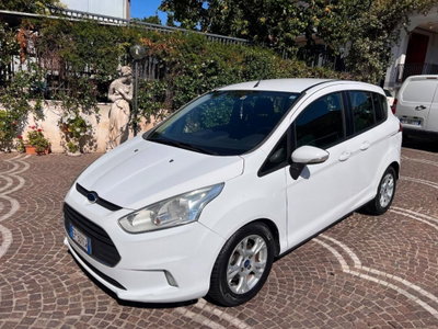 Ford B-Max B-Max 1.6 TDCi 95 CV Individual (9)