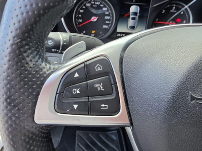 Mercedes-Benz GLC SUV 250 d 4Matic Premium (10)