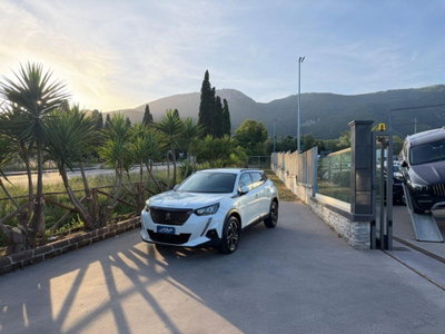 Peugeot 2008 PureTech 100 S&S Allure usata