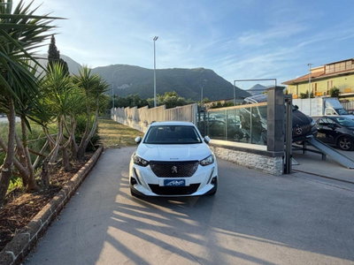 Peugeot 2008 PureTech 100 S&S Allure (3)