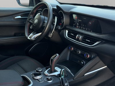 Alfa Romeo Stelvio Stelvio 2.2 Turbodiesel 190 CV AT8 Q4 Super Business (10)