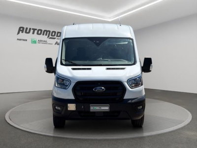 Ford Transit 50 awd 2.0 ecoblue 130cv trend L3 Scattolini c.fisso (2)