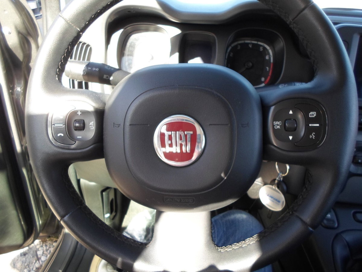 Fiat Panda Cross Cross 1.0 FireFly S&S Hybrid (20)