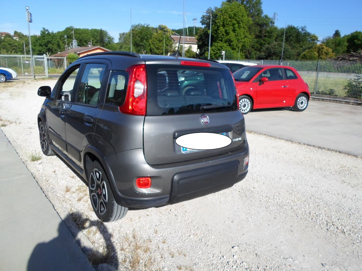 Fiat Panda Cross Cross 1.0 FireFly S&S Hybrid (4)