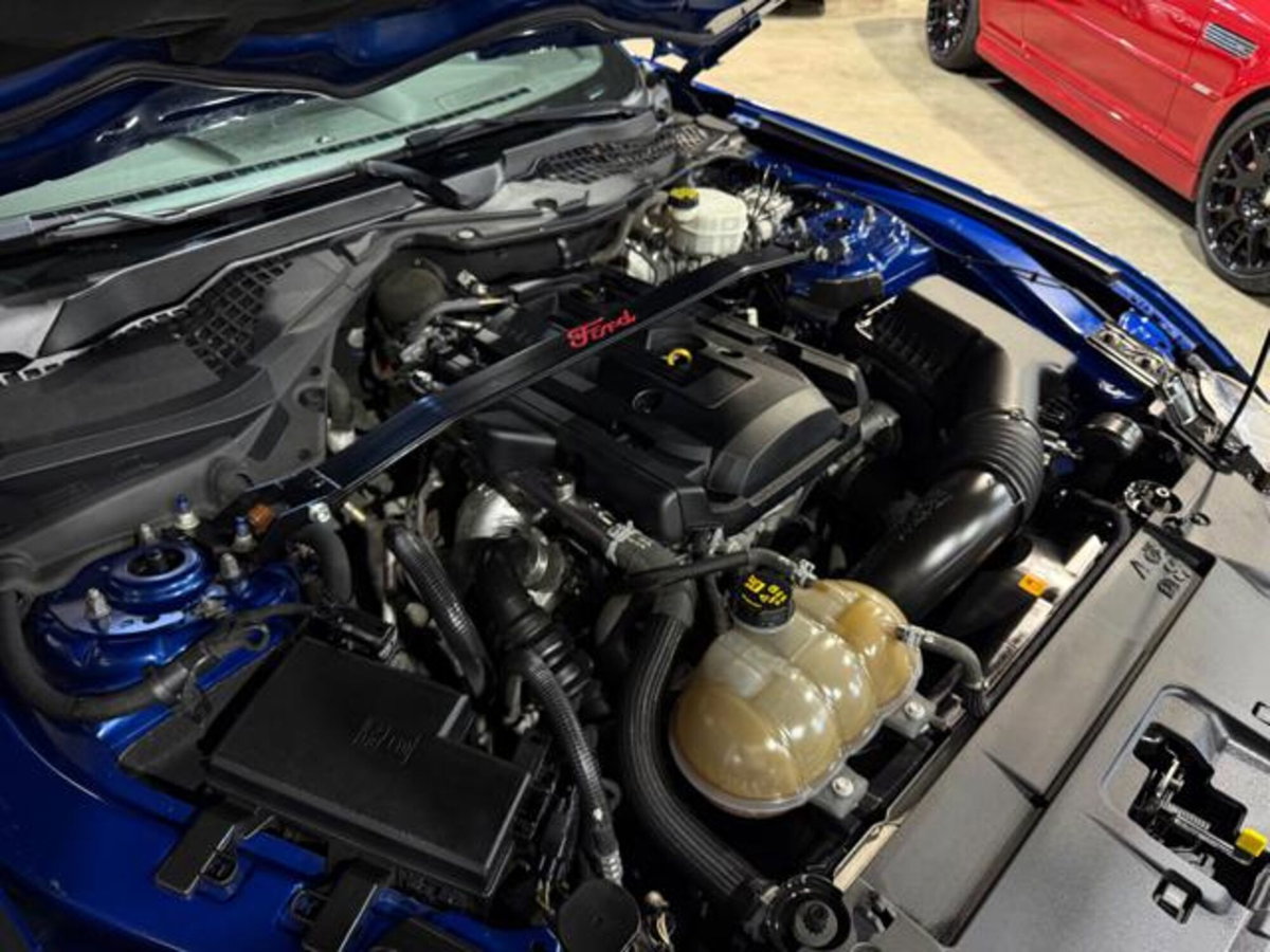 Ford Mustang Coupé Fastback 2.3 EcoBoost (10)