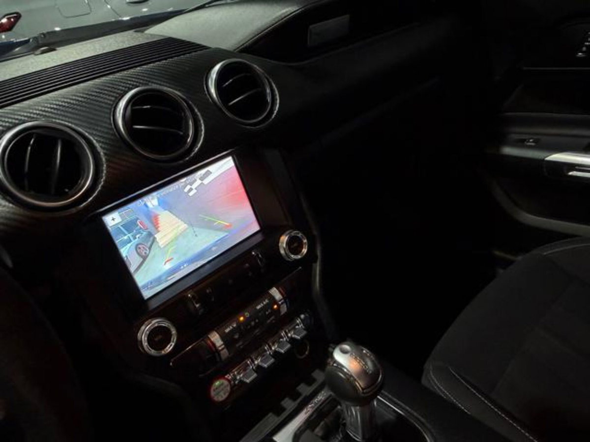 Ford Mustang Coupé Fastback 2.3 EcoBoost (14)
