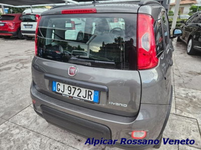 Fiat Panda 1.0 firefly hybrid s&s 70cv 5p.ti (6)