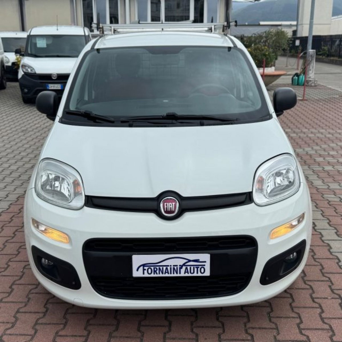 Fiat Panda 1.3 MJT 4x4 Pop Van 2 posti (3)