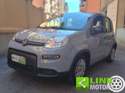 Fiat Panda 1.0 firefly hybrid s&s 70cv 5p.ti usata