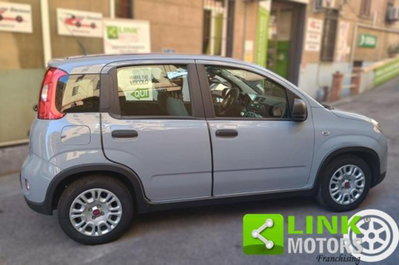Fiat Panda 1.0 firefly hybrid s&s 70cv 5p.ti (4)
