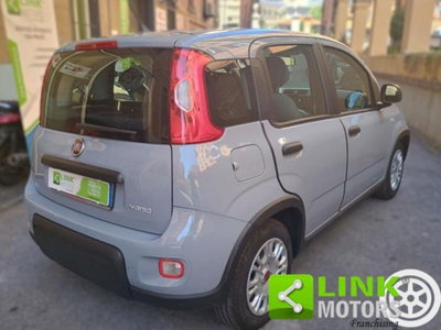 Fiat Panda 1.0 firefly hybrid s&s 70cv 5p.ti (5)