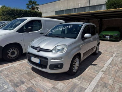 Fiat Panda 1.2 Pop usata