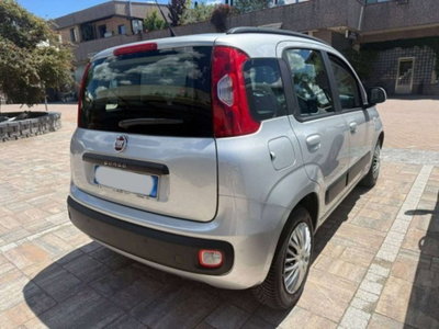 Fiat Panda 1.2 Pop (5)
