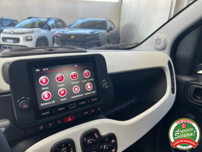 Fiat Panda Cross 1.0 firefly hybrid Cross s&s 70cv 5p.ti (12)