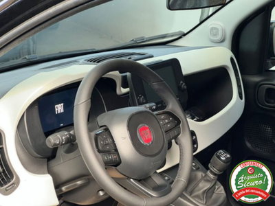 Fiat Panda Cross 1.0 firefly hybrid Cross s&s 70cv 5p.ti (7)