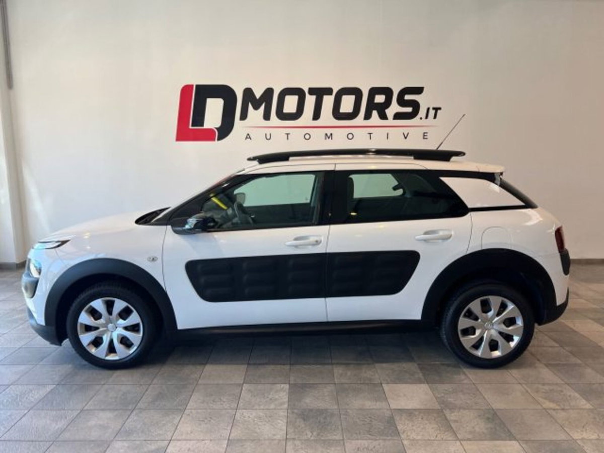 Citroen C4 Cactus BlueHDi 100 Feel (15)