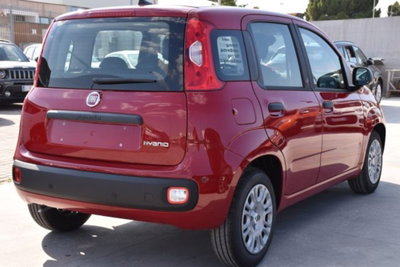 Fiat Panda 1.0 firefly hybrid s&s 70cv 5p.ti (4)