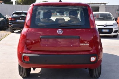 Fiat Panda 1.0 firefly hybrid s&s 70cv 5p.ti (5)