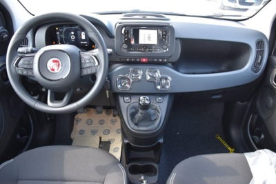 Fiat Panda 1.0 firefly hybrid s&s 70cv 5p.ti (7)