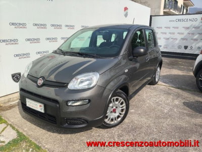 Fiat Panda 1.0 firefly hybrid s&s 70cv 5p.ti usata