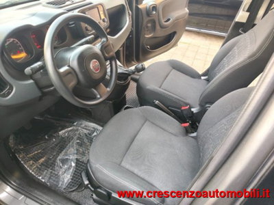 Fiat Panda 1.0 firefly hybrid s&s 70cv 5p.ti (10)