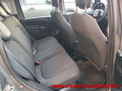 Fiat Panda 1.0 firefly hybrid s&s 70cv 5p.ti (14)